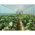Fertilizante orgánico cultivar la aplicación de vegetales